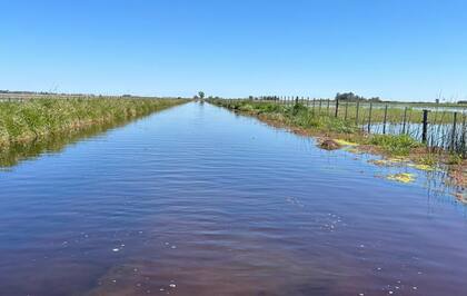 El fallo vuelve a poner en agenda la discusión sobre la eficiencia del gasto en infraestructura rural, un punto sensible para la producción agropecuaria