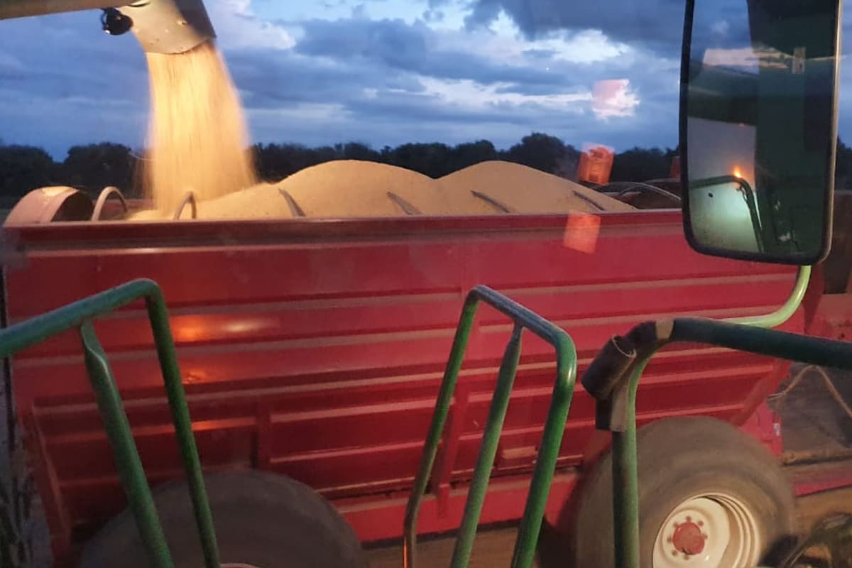 El faltante del combustible se sintió en la ciudad, pero también hay preocupación en el interior para la producción