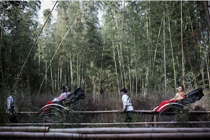 El famoso bosque de babú de Arashiyama, en Kioto