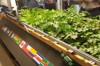 El farmbot tiene un sistema inteligente que permite detectar la humedad del suelo y la falta de nutrientes por planta