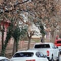 Fuerte polémica por un juez que ignoró informes sobre el hombre que mató a su pareja