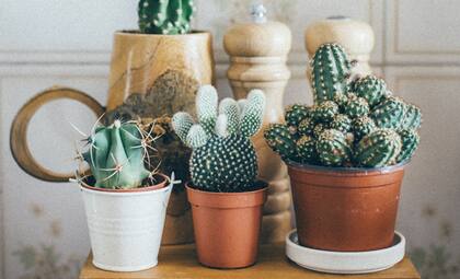 El Feng Shui considera que ciertos objetos atraen problemas