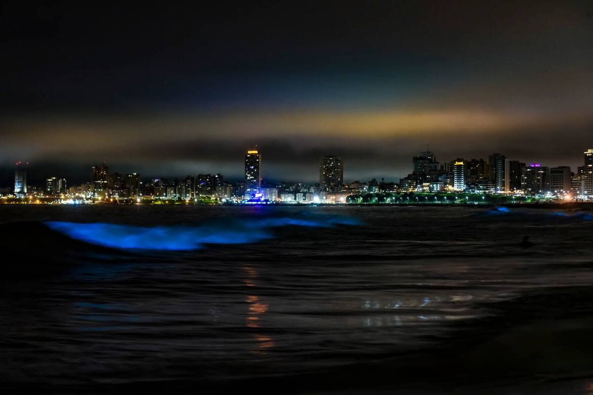 El fenómeno de iluminación natural del mar en las playas de Mar del Plata
