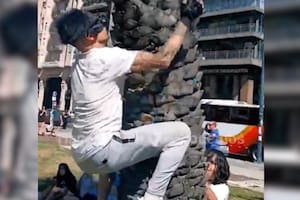 El fenómeno de los therian es muy comentado en las redes sociales (Foto: X)