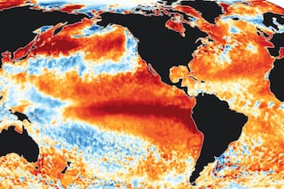 Las seis estrategias que, “como nunca”, ya se aplican ante el fenómeno climático