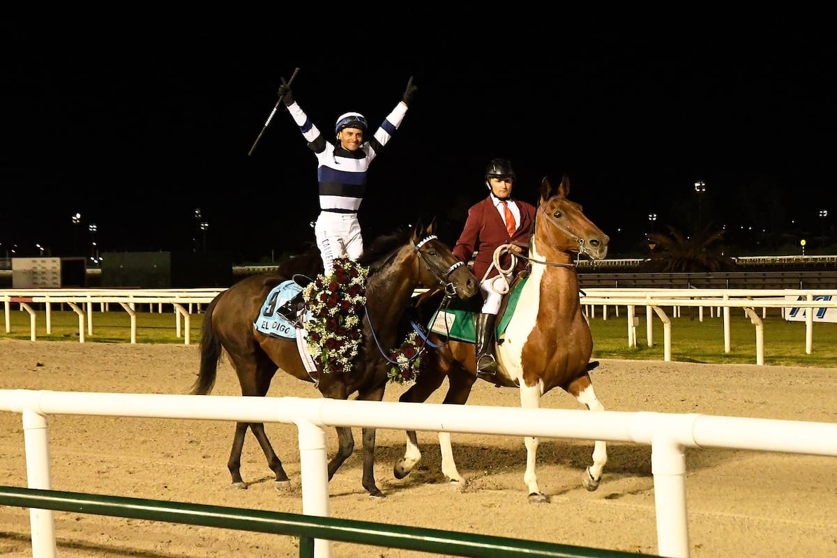 El festejo de Gustavo Calvente sobre El Kodigo, luego de la victoria en el Gran Premio José Pedro Ramírez (G1-2400m), la carrera más importante de Uruguay.