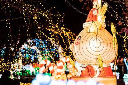 El Festival de Luces de Invierno, en Staten Island