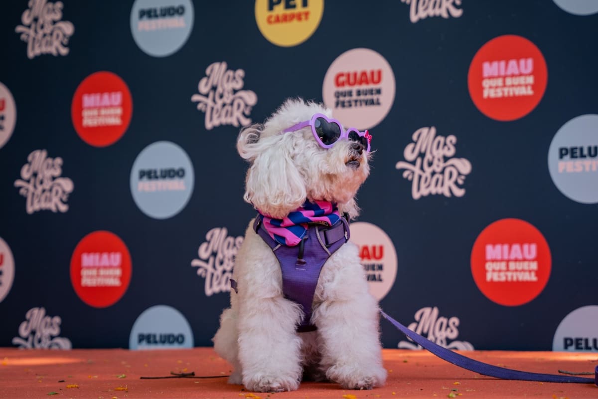 El festival de mascotas más convocante de Buenos Aires tendrá su 4° edición en la Floralis Genérica