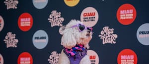 El festival gratuito de mascotas que llega a Buenos Aires con desfiles, yoga con cachorros y jornadas de adopción