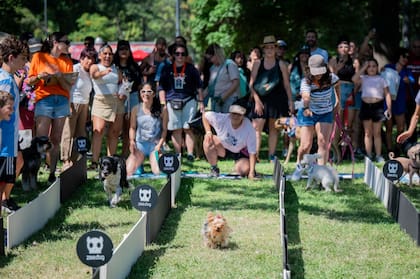 El festival Mascotear es uno de los éxitos comerciales que surgieron de este fenómeno