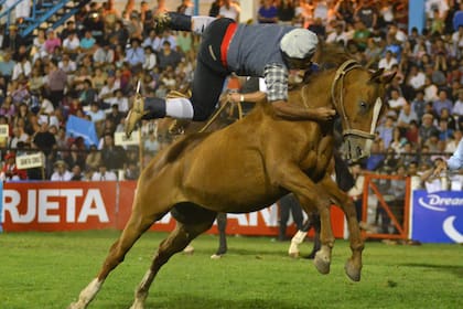 El festival no se suspende
