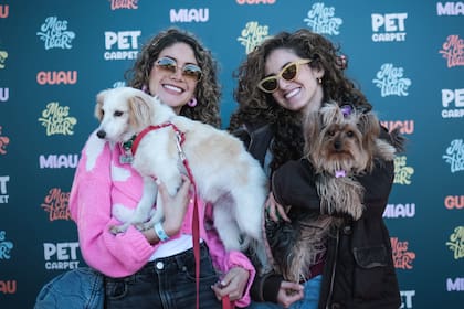 El festival se celebra todos los años y va incorporando nuevas secciones en cada edición
