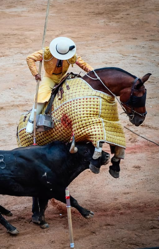 El festival y los encierros de San Fermin, en Pamplona. A primera hora de la mañana cientos de personas corren frente a 6 toros que a la tarde se enfrentan a los toreros en la plaza