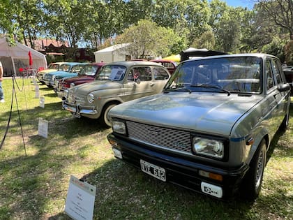 El Fiat 128 Lava junto a una larga fila de diferentes modelos de Fiat 600, modelo que cumple 70 años