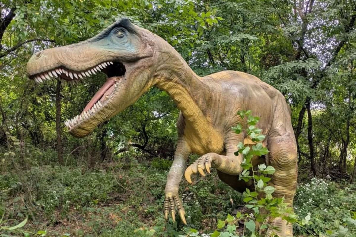 El Field Station: Dinosaurs, el parque de atracciones de Leonia, Nueva Jersey, vende sus dinosaurios en Marketplace (Facebook/Madrid Rex)