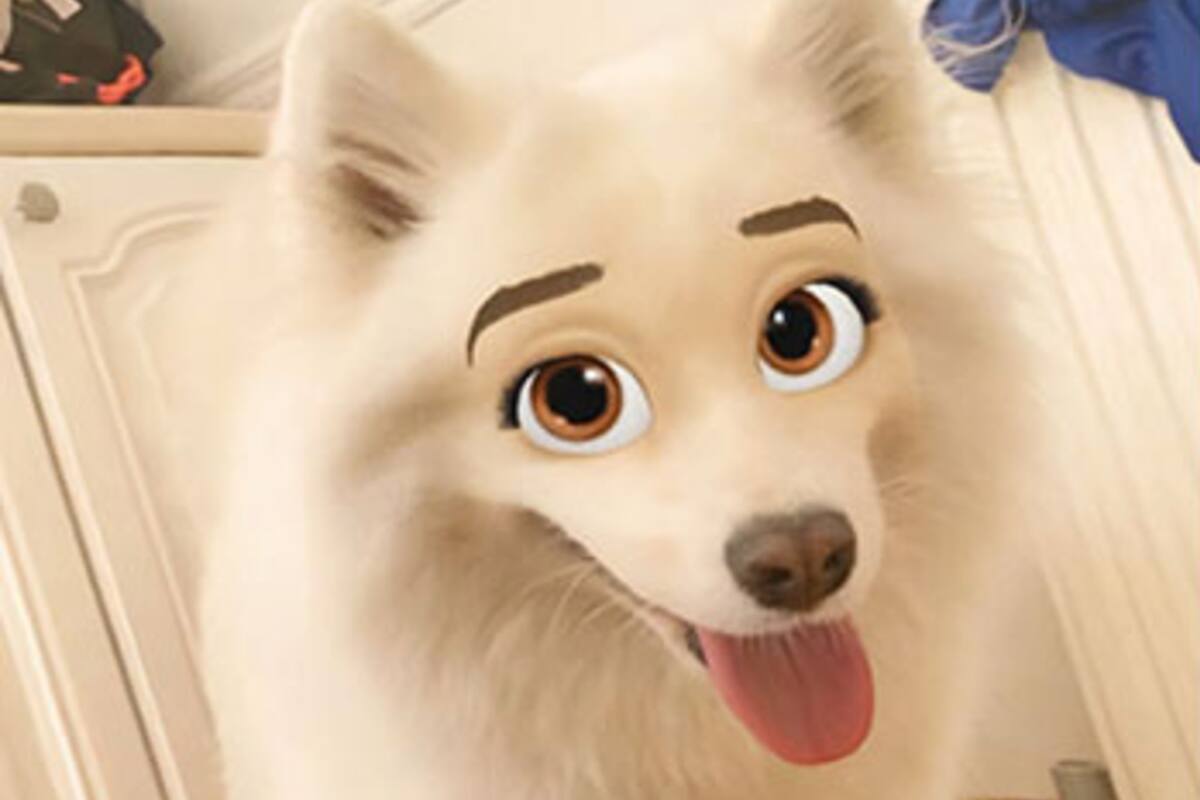 El filtro se llama "cartoon face" y permite agregarle a los perros expresiones de dibujo animados