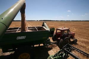 El fin de las trabas para exportador ayudó al trigo