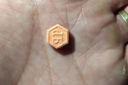 El fin de semana pasado, la policía había secuestrado 130 pastillas de éxtasis en operativos en Villa Gesell y Mar del Plata