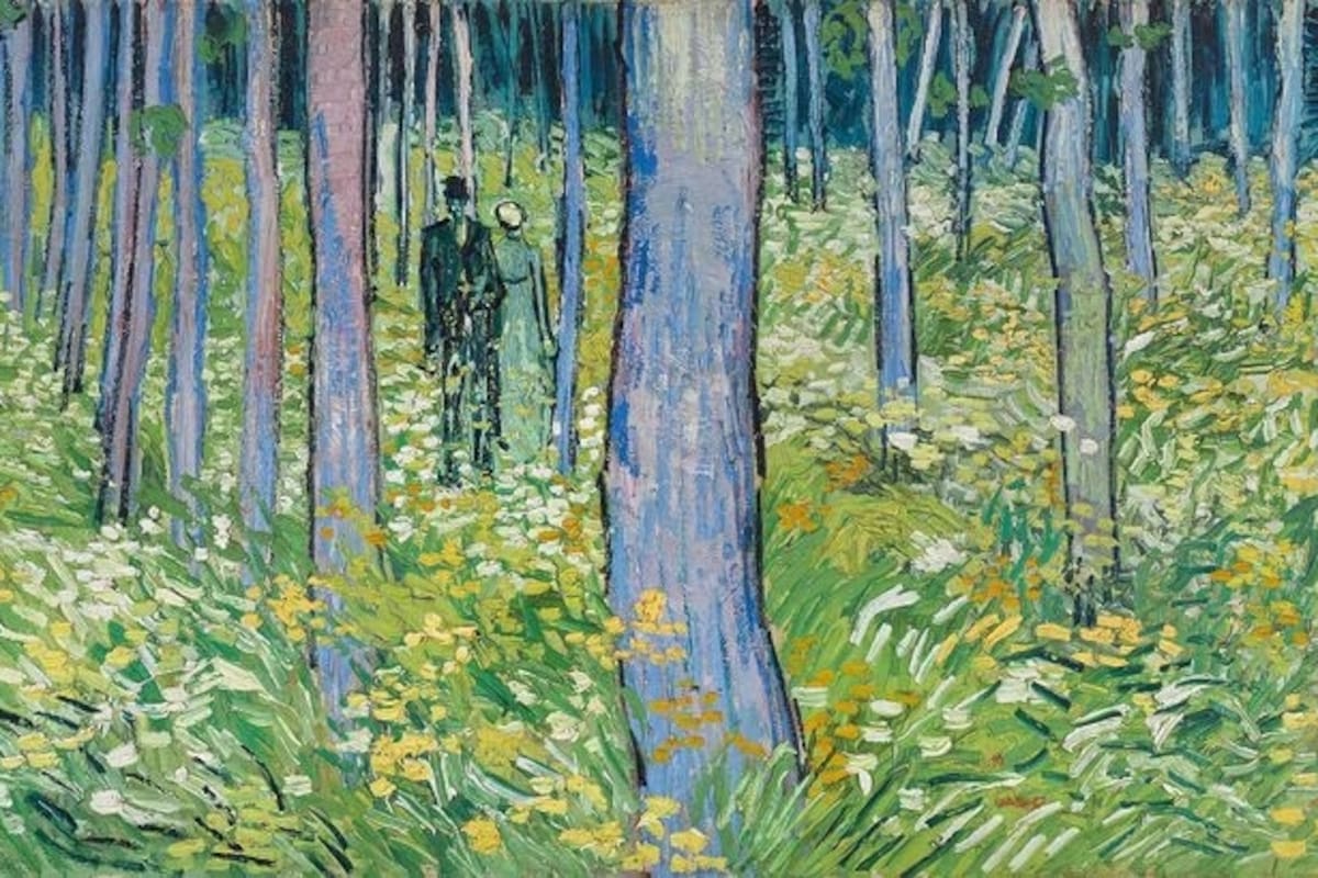 El final creativo de Van Gogh: un pintor compulsivo que murió entre sus cipreses