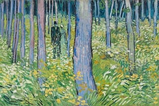 El trágico final de Vincent van Gogh: un pintor compulsivo que murió entre cipreses y obsesiones
