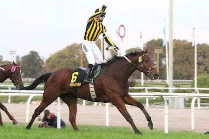 El final del 25 de Mayo, que valió una gatera en la Breeders'''''''' Cup
