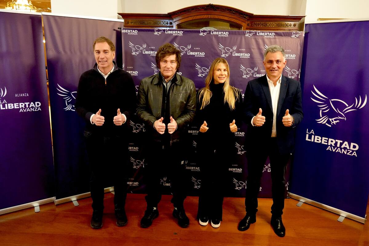 El fiscal Ramiro González aseguró a la Cámara Nacional Electoral que la lista de LLA la debe encabezar Karen Reichardt