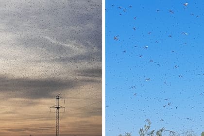 El foco se inició en la localidad de Matará, Santiago del Estero