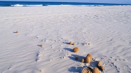 El fondo del mar recolecta la contaminación plástica que se origina en tierra firme