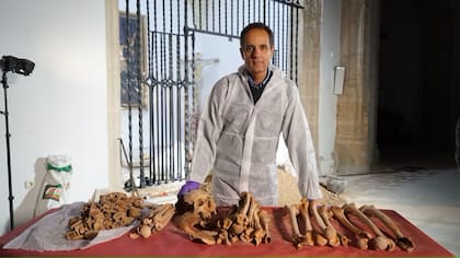 El forense José Antonio Lorente, quien tuvo a cargo la investigación sobre el origen de Cristóbal Colón
