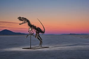 El fósil de Ceratosaurus subastado por 30.5 millones de dólares.
