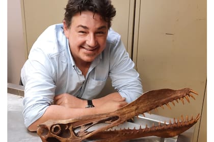 El fósil fue encontrado en una cantera al noroeste de Richmond en junio de 2011 por Len Shaw