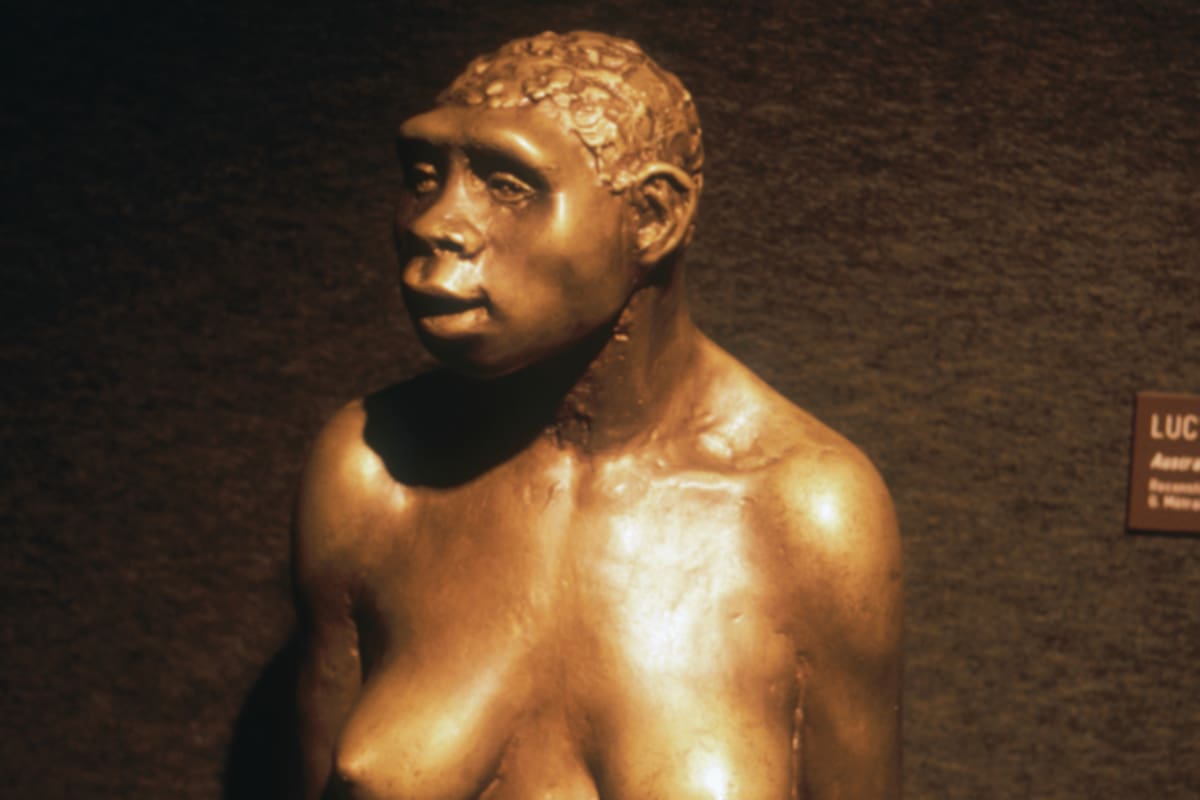 El fósil hallado en 1974 recibió el nombre de Lucy por la canción "Lucy in the Sky with Diamonds", de los Beatles.