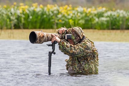 El fotógrafo Esteban Argerich sumergido en el agua para captar de cerca un ejemplar de esta especie