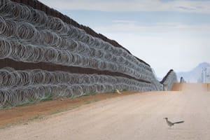 El fotógrafo ha documentado la vida salvaje y los ecosistemas de la frontera sur de Estados Unidos