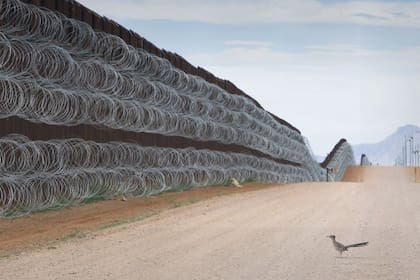 El fotógrafo ha documentado la vida salvaje y los ecosistemas de la frontera sur de Estados Unidos