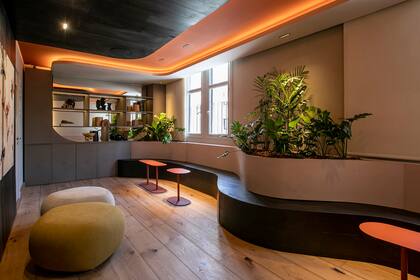El foyer como espacio de transición a una sala mayor es utilizado frecuentemente como lugar de reuniones. Con formas orgánicas y materiales nobles, este espacio de encuentro fue creado by Patagonia Flooring por Julia Saramaga y Micaela Rabinovich