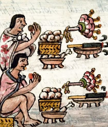 El fraile franciscano Bernardino de Sahagún registró algunas de las costumbres de los pueblos originarios americanos, entre ellos el uso de sustancias alucinógenas