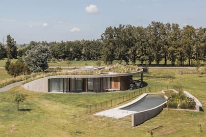 El frente de la casa, de espaldas al ingreso vehicular, muestra la plantación mixta de gramíneas y herbáceas del techo verde.