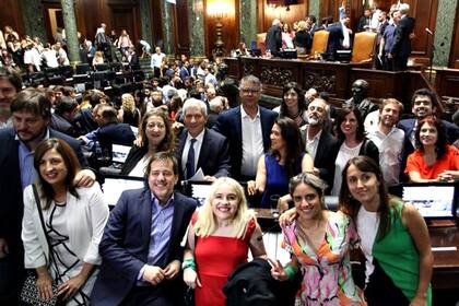 El Frente de Todos tendrá un bloque único de 17 legisladores