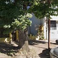 Ingresó a una casa para usurparla y encontró un cadáver en estado de putrefacción