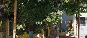 Ingresó a una casa para usurparla y encontró un cadáver en estado de putrefacción