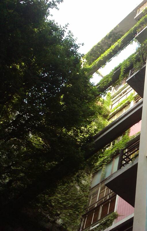 El frente del edificio Los Eucaliptus tiene parasoles móviles de madera