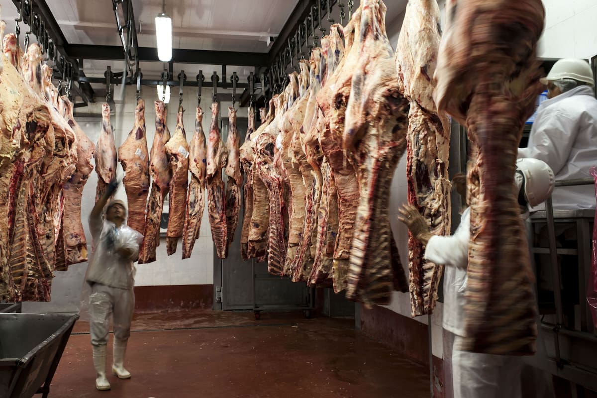 El frigorífico Federal trabaja con demoras