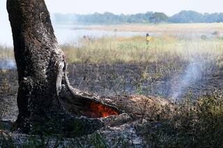 El lugar donde el fuego ya arrasó el equivalente a casi 17 Buenos Aires