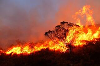 Córdoba: siguen combatiendo el fuego y las llamas avanzan hacia Villa Giardino