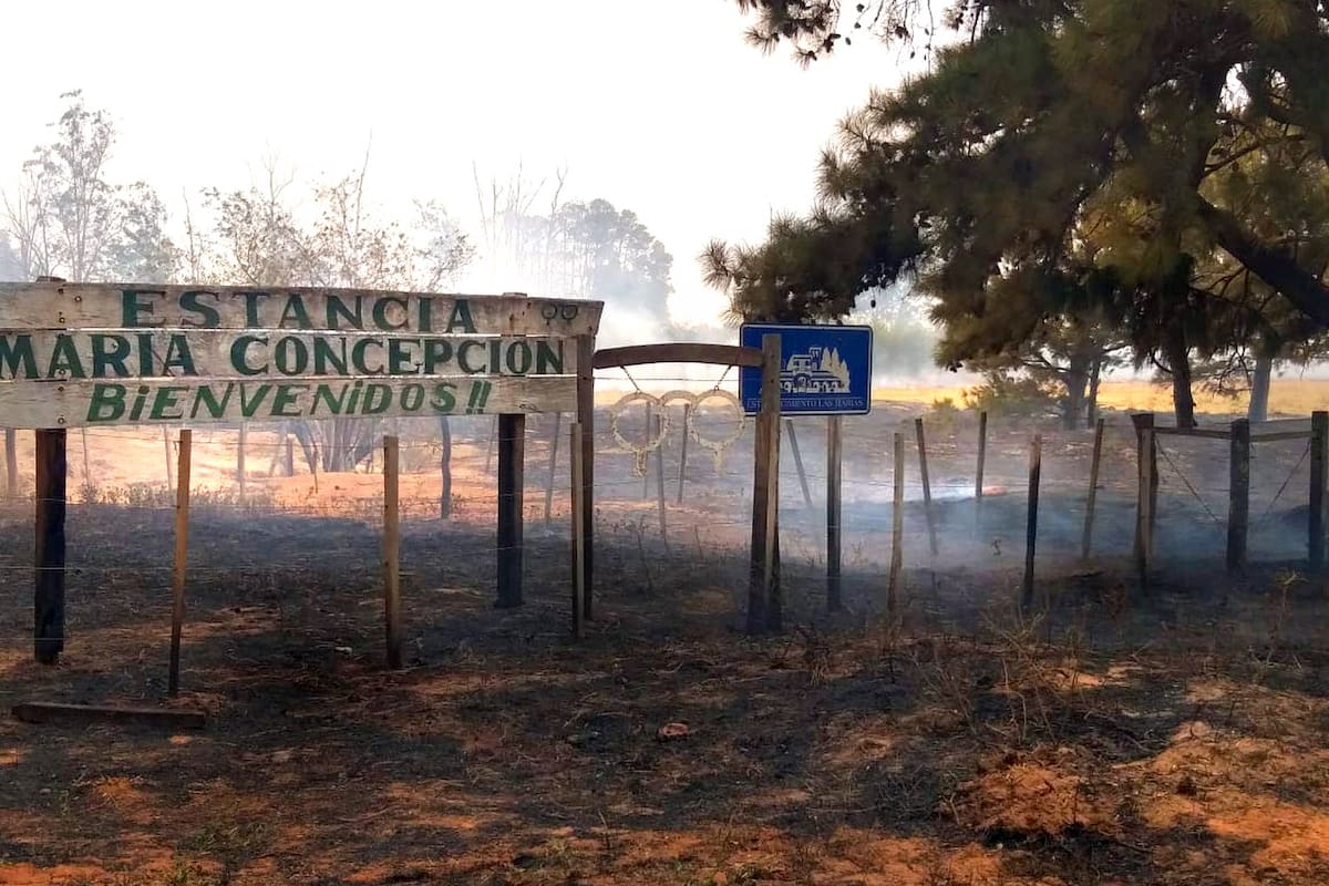 El fuego alcanzó un campo en Virasoro, Corrientes, donde afectó a 1000 hectáreas de ganadería de cría