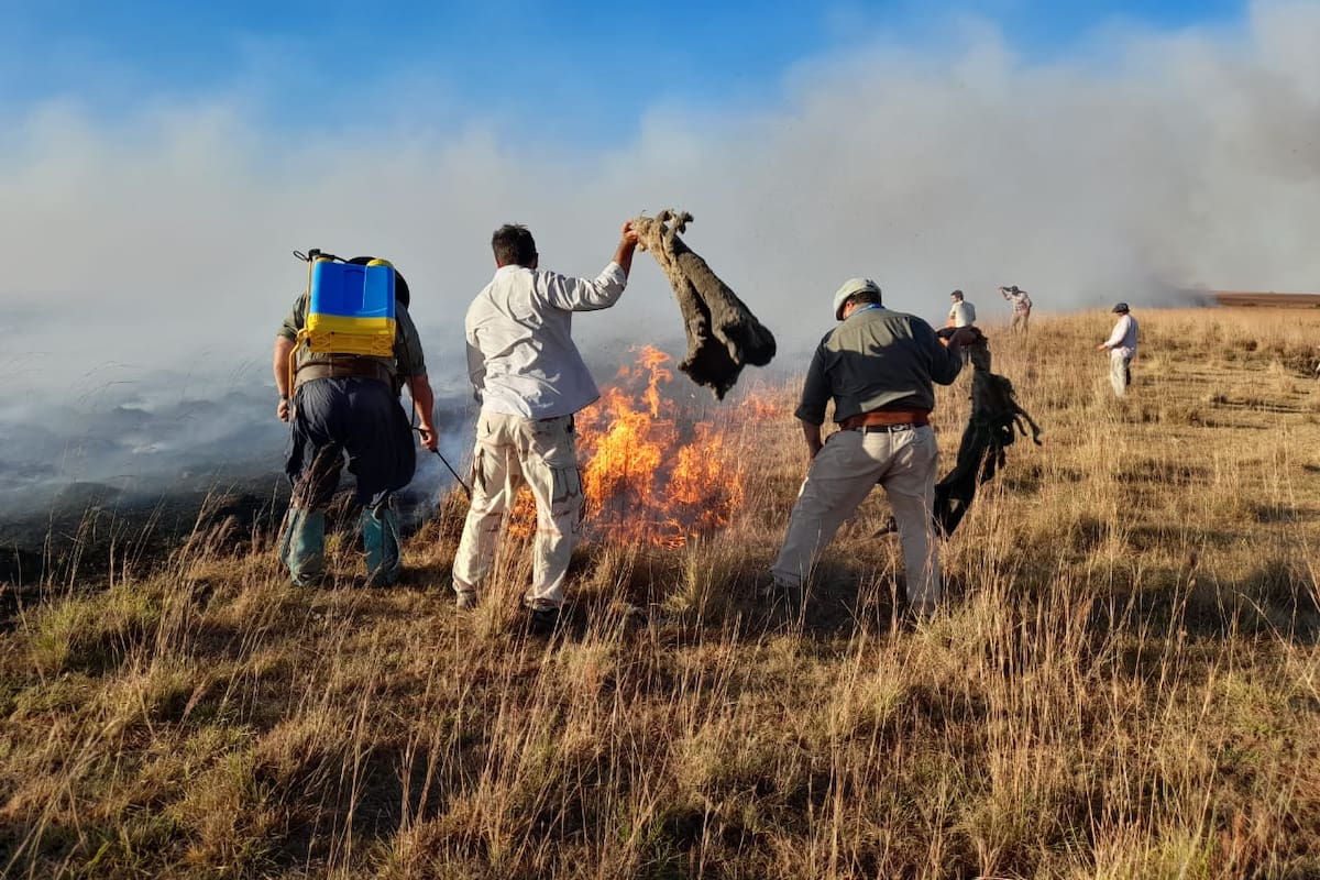El fuego arrasó casi 26 veces la superficie de la Capital Federal