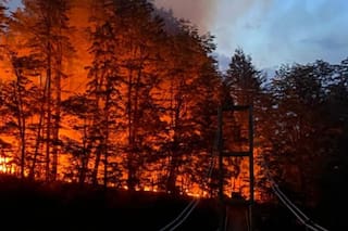 Incendios en la Patagonia: qué se sabe del avance del fuego y cuáles son las zonas más afectadas