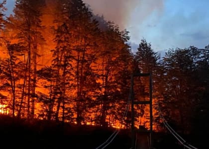 El fuego arrasó pastizales naturales, alambrados e infraestructura rural en amplias zonas