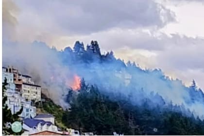 El fuego avanza en una zona forestal próxima a la ciudad.